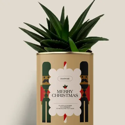 Cadeaux - Merry Chrismas - Maxi Aloé - DIAIWAIE