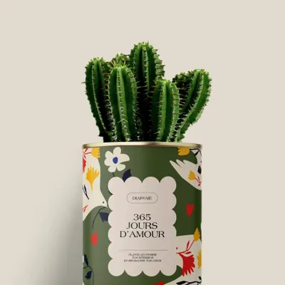 Gifts - 365 jours d'amour - Mini Cactus - DIAIWAIE