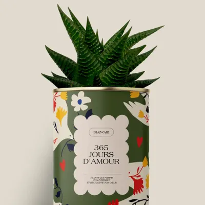 Cadeaux - 365 jours d'amour - Maxi Aloé - DIAIWAIE