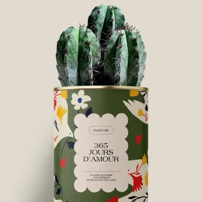 Cadeaux - 365 jours d'amour - Maxi Cactus - DIAIWAIE