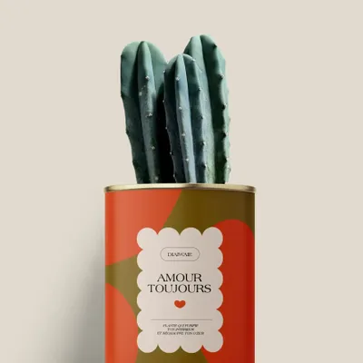 Cadeaux - Amour toujours - Mini Cactus - DIAIWAIE