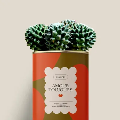 Gifts - Amour toujours - Maxi Cactus - DIAIWAIE