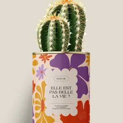 Cadeaux - Elle est pas belle la vie ? - Maxi Cactus - DIAIWAIE