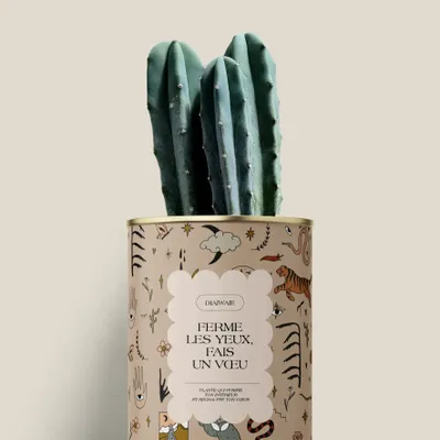 Gifts - Ferme les yeux, fais un vœu - Mini Cactus - DIAIWAIE