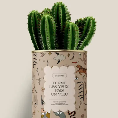 Cadeaux - Ferme les yeux, fais un vœu - Maxi Cactus - DIAIWAIE