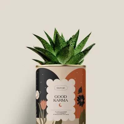 Cadeaux - Good Karma - Mini Aloé - DIAIWAIE