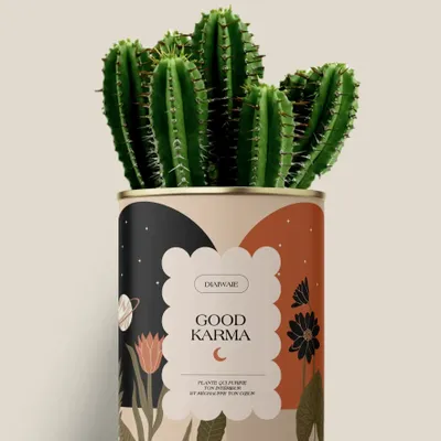 Cadeaux - Good Karma - Maxi Cactus - DIAIWAIE