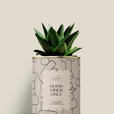 Cadeaux - Good vibes only - Mini Aloé - DIAIWAIE