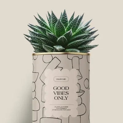 Gifts - Good vibes only - Maxi Aloé - DIAIWAIE