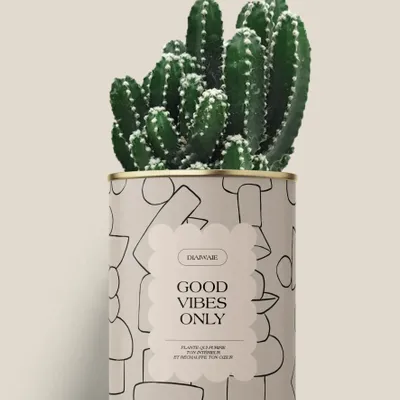 Gifts - Good vibes only - Maxi Cactus - DIAIWAIE