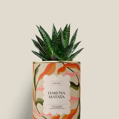 Cadeaux - Hakuna matata - Mini Aloé - DIAIWAIE