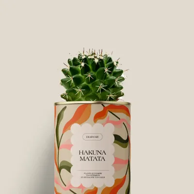 Gifts - Hakuna matata - Mini Cactus - DIAIWAIE