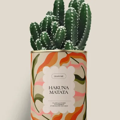 Cadeaux - Hakuna matata - Maxi Cactus - DIAIWAIE