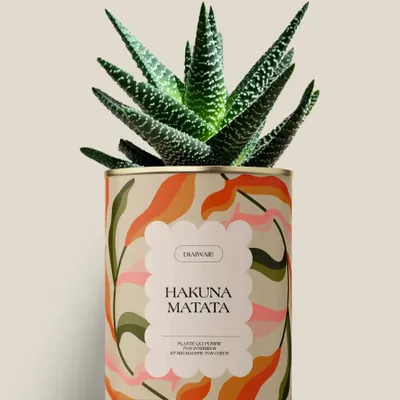 Cadeaux - Hakuna matata - Maxi Aloé - DIAIWAIE