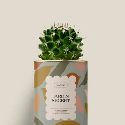 Gifts - Jardin secret - Mini Cactus - DIAIWAIE