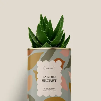 Gifts - Jardin secret - Mini Aloé - DIAIWAIE