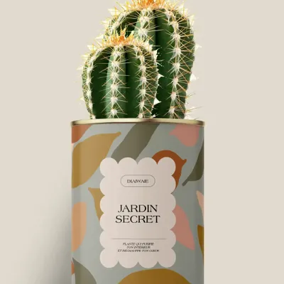 Gifts - Jardin secret - Maxi Cactus - DIAIWAIE