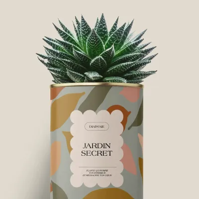 Gifts - Jardin secret - Maxi Aloé - DIAIWAIE