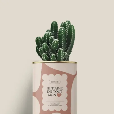 Gifts - Je t'aime de tout mon coeur - Mini Cactus - DIAIWAIE