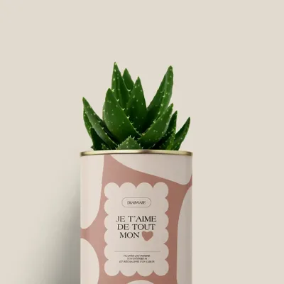 Gifts - Je t'aime de tout mon coeur - Mini Aloé - DIAIWAIE