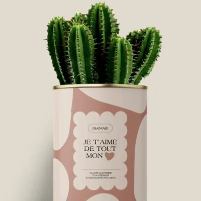 Gifts - Je t'aime de tout mon coeur - Maxi Cactus - DIAIWAIE