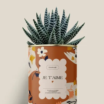 Cadeaux - Je t'aime - Maxi Aloé - DIAIWAIE