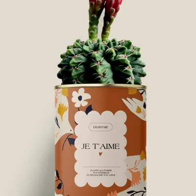 Gifts - Je t'aime - Maxi Cactus - DIAIWAIE