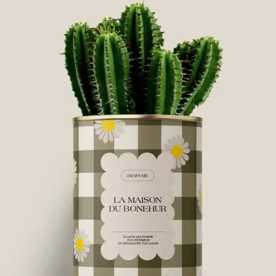 Cadeaux - La maison du bohneur - Maxi Cactus - DIAIWAIE