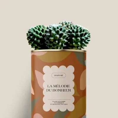 Cadeaux - La mélodie du bohneur - Maxi Cactus - DIAIWAIE