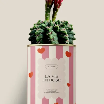 Gifts - La vie en rose - Maxi Cactus - DIAIWAIE