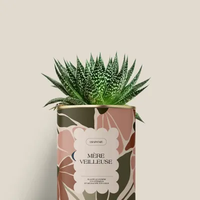 Gifts - Mère veilleuse - Mini Aloé - DIAIWAIE