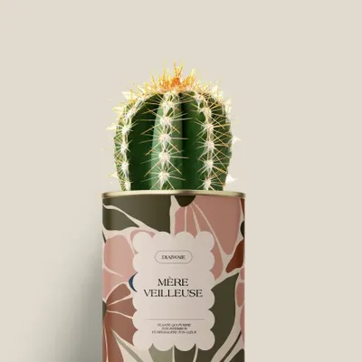 Gifts - Mère veilleuse - Mini Cactus - DIAIWAIE