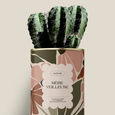 Gifts - Mère veilleuse - Maxi Cactus - DIAIWAIE