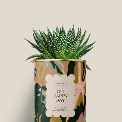 Gifts - Oh happy day - Mini Aloé - DIAIWAIE