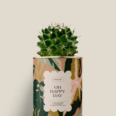 Gifts - Oh happy day - Mini Cactus - DIAIWAIE