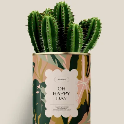 Cadeaux - Oh happy day - Maxi Cactus - DIAIWAIE