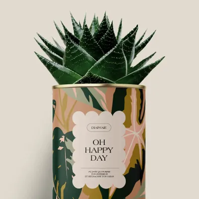 Gifts - Oh happy day - Maxi Aloé - DIAIWAIE