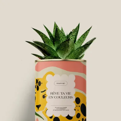 Cadeaux - Rêve ta vie en couleurs - Mini Aloé - DIAIWAIE