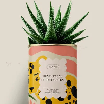 Gifts - Rêve ta vie en couleurs - Maxi Aloé - DIAIWAIE