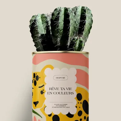 Cadeaux - Rêve ta vie en couleurs - Maxi Cactus - DIAIWAIE
