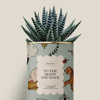 Gifts - To the moon and back - Mini Aloé - DIAIWAIE