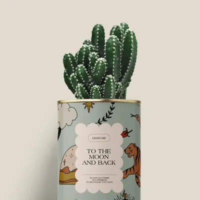 Cadeaux - To the moon and back - Mini Cactus - DIAIWAIE