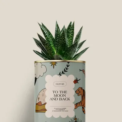 Cadeaux - To the moon and back - Mini Aloé - DIAIWAIE