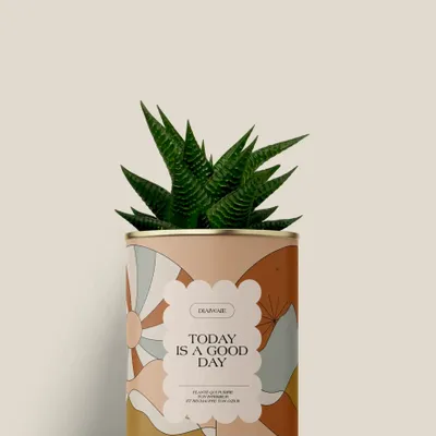 Gifts - Today is a good day - Mini Aloé - DIAIWAIE