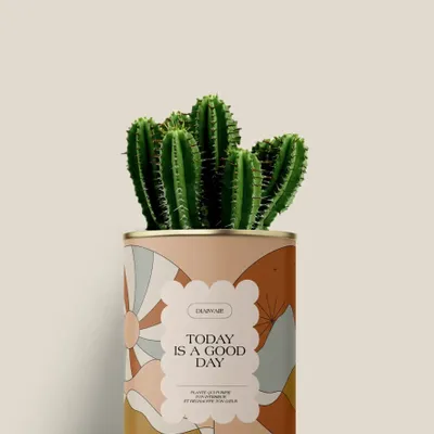 Cadeaux - Today is a good day - Mini Cactus - DIAIWAIE