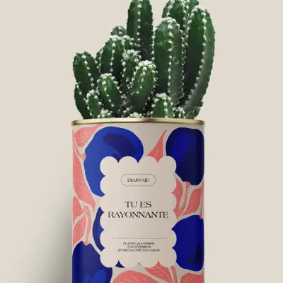 Cadeaux - Tu es rayonnante - Maxi Cactus - DIAIWAIE