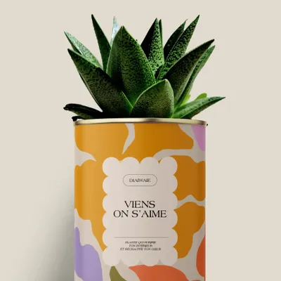 Cadeaux - Viens on s'aime - Mini Aloé - DIAIWAIE