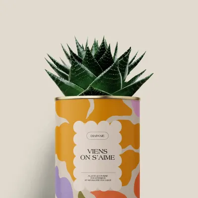 Cadeaux - Viens on s'aime - Maxi Aloé - DIAIWAIE