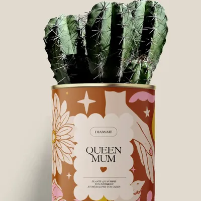 Gifts - Queen Mum - Maxi Cactus - DIAIWAIE
