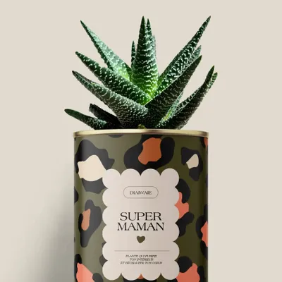 Cadeaux - Super maman - Mini Aloé - DIAIWAIE